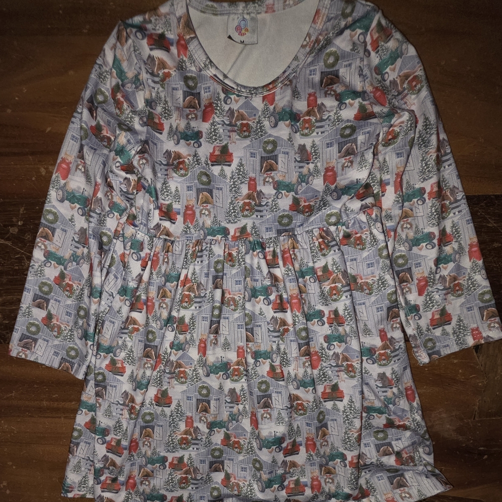 Seasonal Winter Themed Long Sleeve Dress Girls Size 3T NWOT